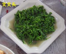 冬季特推野菜——文文