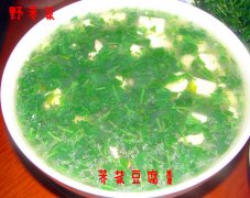 冬季特推野菜——荠菜