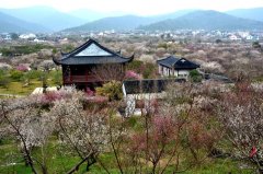 苏州赏梅+泡温泉一日游线路推荐